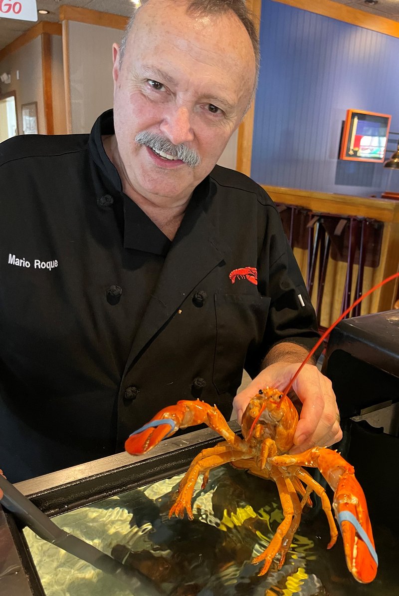 Rare Onein30Million Orange Lobster Rescued by Red Lobster® Finds New